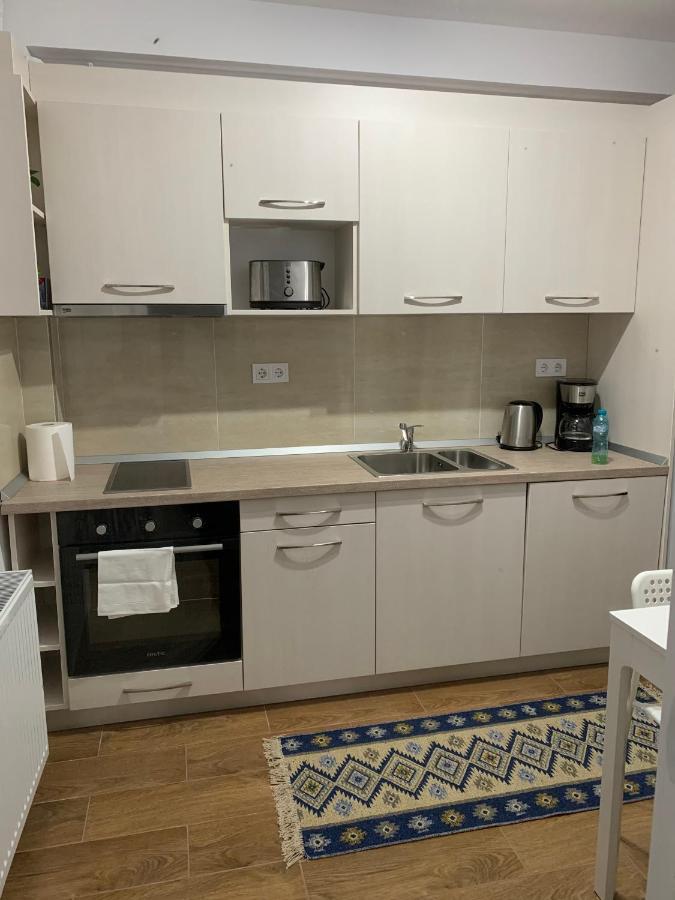 Welcoming Gemini Apartment 1 Sibiu Exterior photo